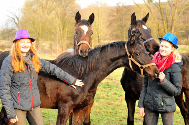 Frohes neues Jahr / Happy New Year - Foto: Beate Langels