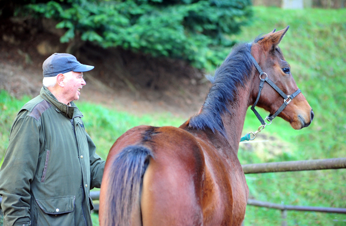 Seniorchef Otto Langels mit Hengstfohlen von High Motion am 1. Januar 2020 in Hmelschenburg - Trakehner Gestt Hmelschenburg - Beate Langels