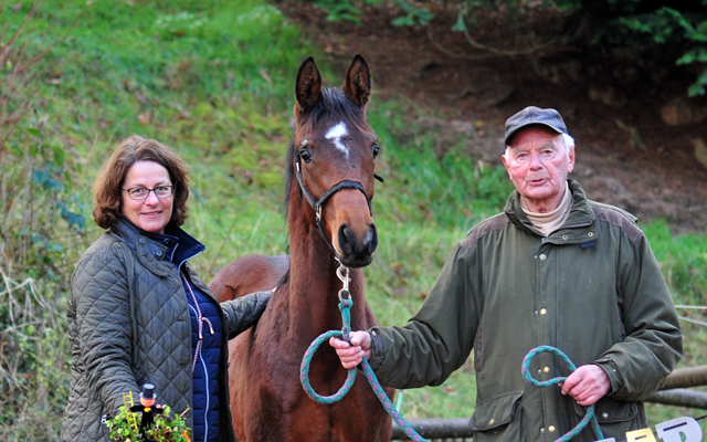 Seniorchef Otto Langels mit Hengstfohlen von High Motion am 1. Januar 2020 in Hmelschenburg - Trakehner Gestt Hmelschenburg - Beate Langels