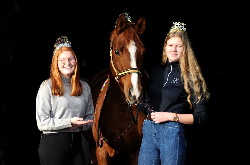 Happy New Year - Klassic Motion am 1.1.2022 in Hmelschenburg  - Foto: Beate Langels - Trakehner Gestt Hmelschenburg