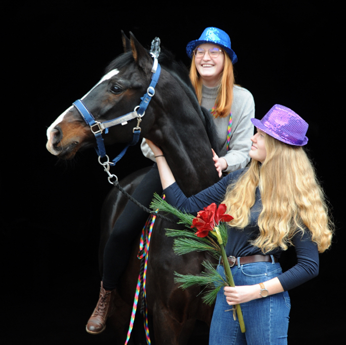 Happy New Year - Shavalou am 1.1.2022 in Hmelschenburg  - Foto: Beate Langels - Trakehner Gestt Hmelschenburg