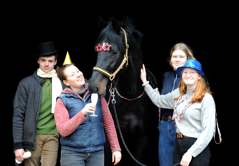 Happy New Year - Highclere am 1.1.2022 in Hmelschenburg  - Foto: Beate Langels - Trakehner Gestt Hmelschenburg