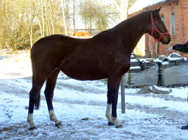 Val de Vienne v. Exclusiv - Showmaster, Foto: Beate Langels, Gest�t H�melschenburg