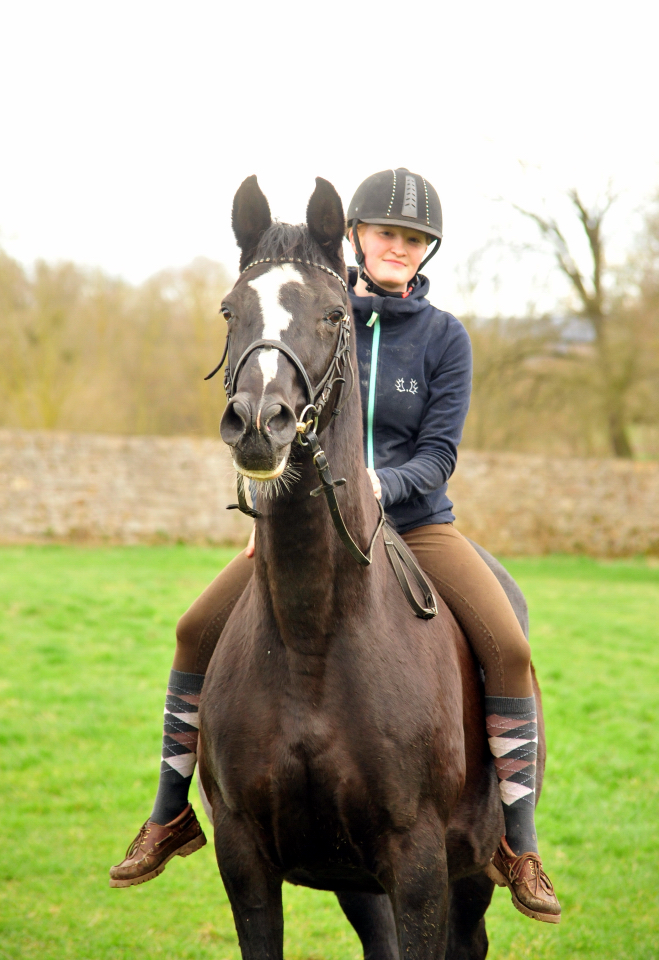 Greta Garbo am 1 Mrz 2020 in Hmelschenburg - Trakehner Gestt Hmelschenburg - Beate Langels