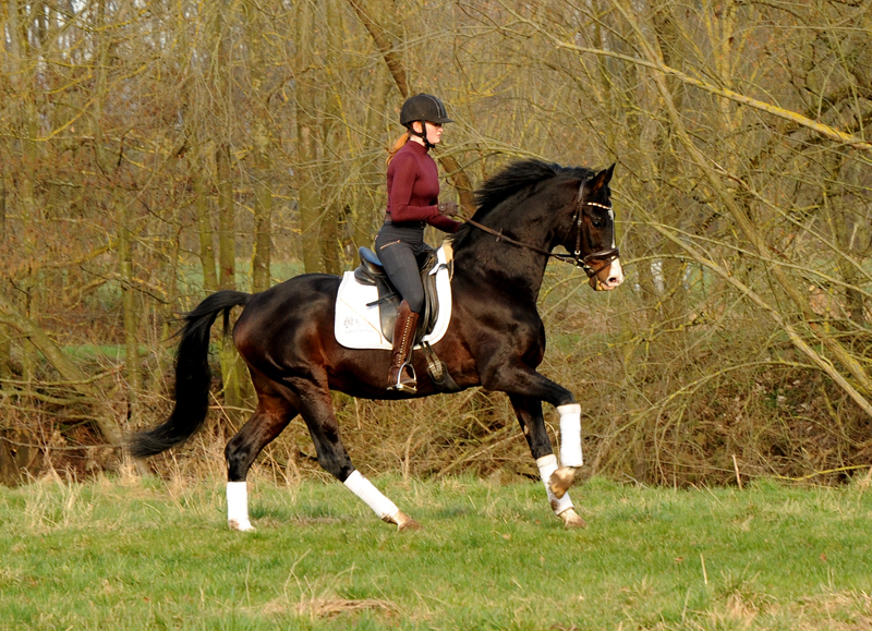 Shavalou und Johanna 1. Mrz 2022 in Hmelschenburg  - Foto: Beate Langels - Trakehner Gestt Hmelschenburg