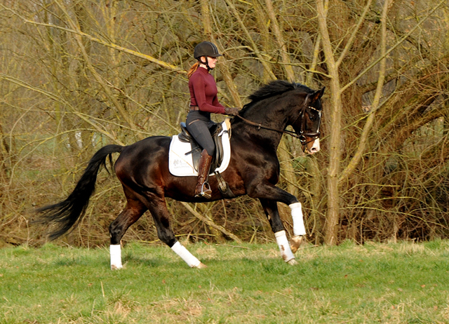 Shavalou und Johanna 1. Mrz 2022 in Hmelschenburg  - Foto: Beate Langels - Trakehner Gestt Hmelschenburg