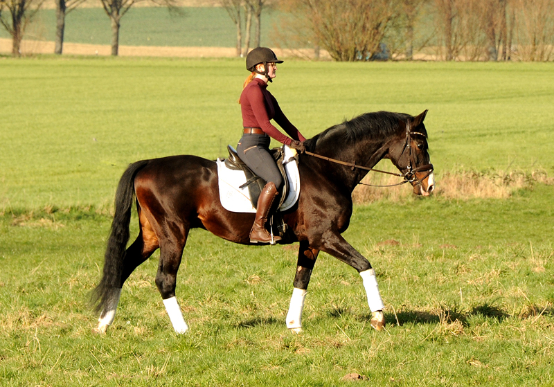 Shavalou und Johanna 1. Mrz 2022 in Hmelschenburg  - Foto: Beate Langels - Trakehner Gestt Hmelschenburg