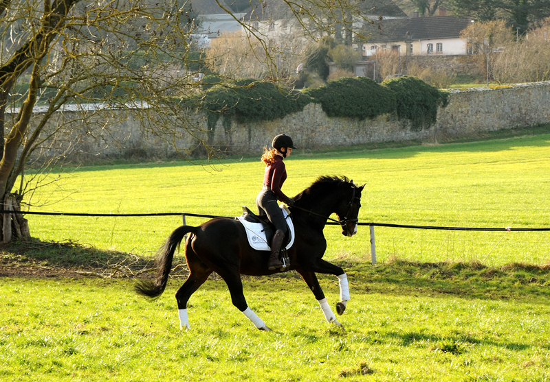 Shavalou und Johanna 1. Mrz 2022 in Hmelschenburg  - Foto: Beate Langels - Trakehner Gestt Hmelschenburg