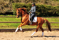 Impressionen vom April 2020 - Trakehner Gestt Hmelschenburg 2020 - Foto: Beate Langels