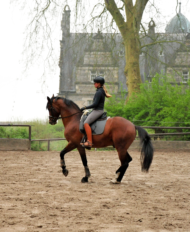  - 1. Mai 2021 - Foto: Beate Langels - 
Trakehner Gestt Hmelschenburg