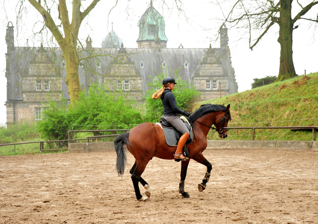  - 1. Mai 2021 - Foto: Beate Langels - 
Trakehner Gestt Hmelschenburg