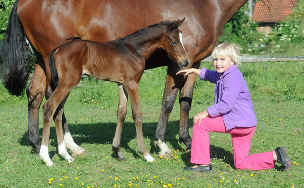 Trakehner Stutfohlen v. Symont u.d. Kayenne Klassic v. Exclusiv, Zchter: Sylvia Laidlaw