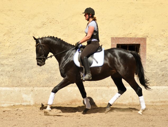 Kurz angeritten - Gestt Hmelschenburg, Foto: Beate Langels, 
Trakehner Gestt Hmelschenburg - Beate Langels