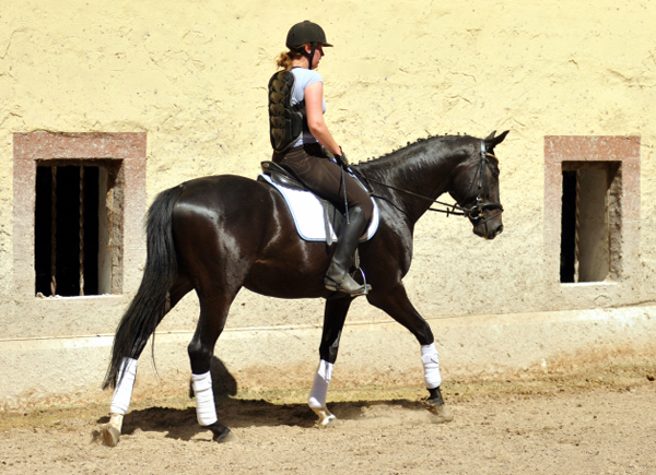 Kurz angeritten - Gestt Hmelschenburg, Foto: Beate Langels, 
Trakehner Gestt Hmelschenburg - Beate Langels
