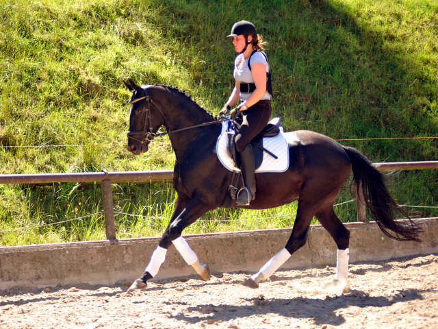 Kurz angeritten - Gestt Hmelschenburg, Foto: Beate Langels, 
Trakehner Gestt Hmelschenburg - Beate Langels