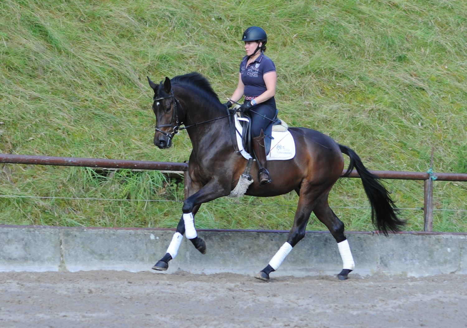 Pr.St. Valentiana v. His Moment u.d. Valentine v High Motion - Beate Langels - Trakehner Gestt Hmelschenburg