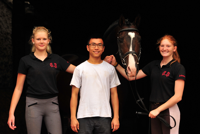 Trakehner Prmienhengst SHAVALOU v. Freudenfest u.d. Elitestute Schwalbenspiel v. Exclusiv - Foto: Beate Langels - Trakehner Gestt Hmelschenburg