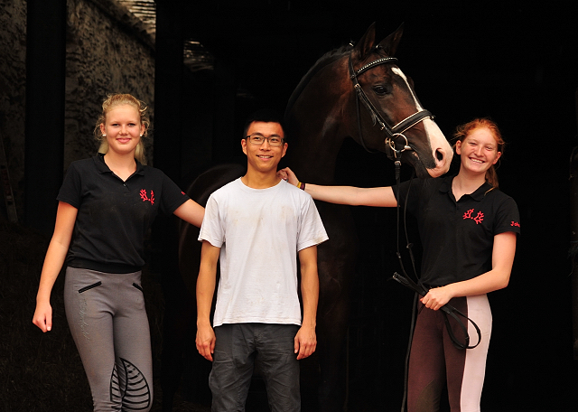 Trakehner Prmienhengst SHAVALOU v. Freudenfest u.d. Elitestute Schwalbenspiel v. Exclusiv - Foto: Beate Langels - Trakehner Gestt Hmelschenburg