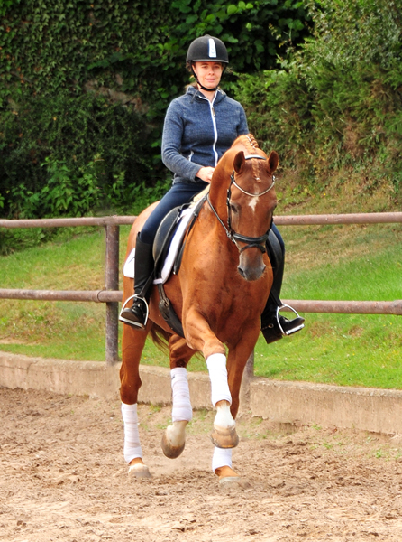 Zauberdeyk v. Van Deyk - Friedensfrst und Pia - Foto: Beate Langels - Trakehner Gestt Hmelschenburg