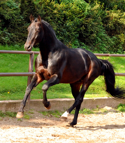 Oliver Twist von Monteverdi - Sixtus - Beate Langels