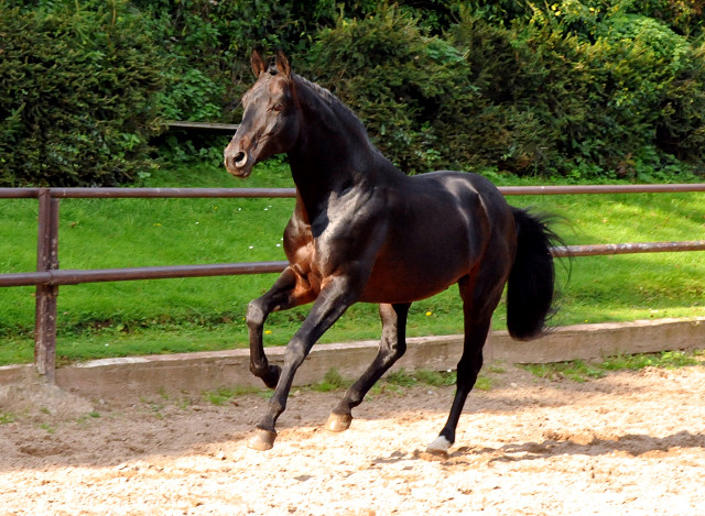 Oliver Twist von Monteverdi - Sixtus - Beate Langels