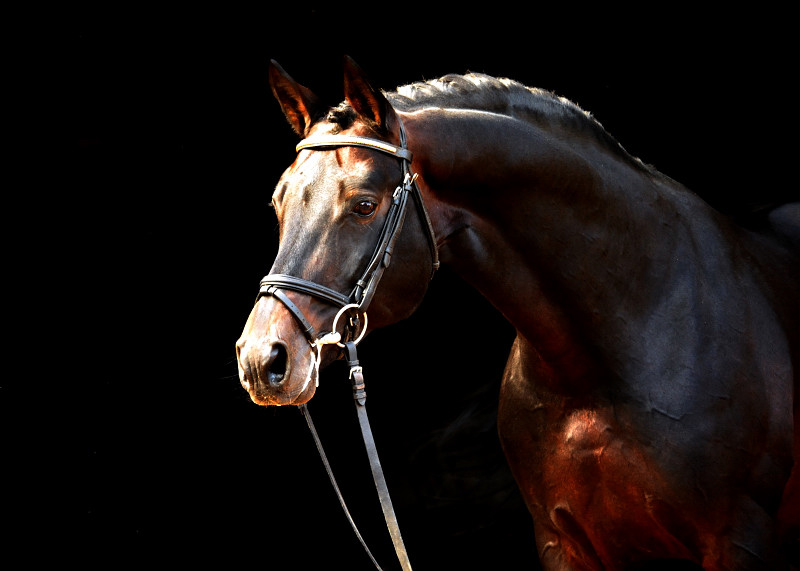 Oliver Twist von Monteverdi - Sixtus - Beate Langels