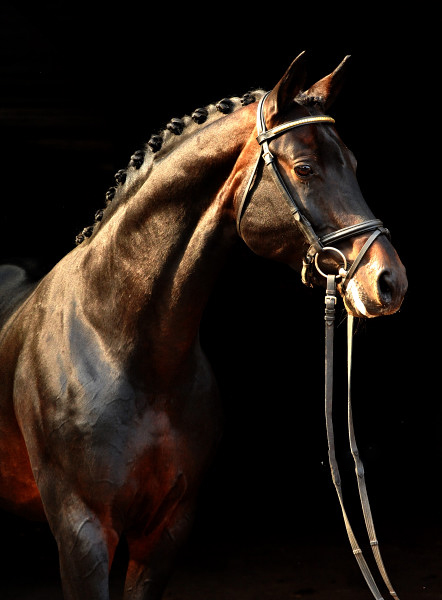 Oliver Twist von Monteverdi - Sixtus - Beate Langels