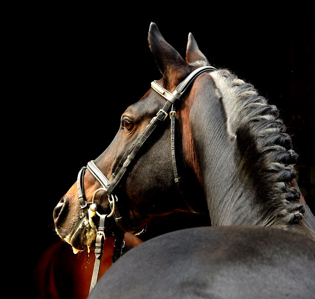 Oliver Twist von Monteverdi - Sixtus - Beate Langels