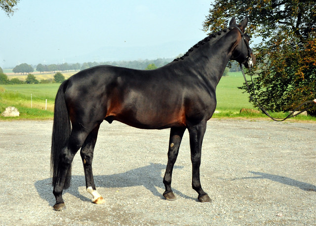 Oliver Twist von Monteverdi - Sixtus - Beate Langels