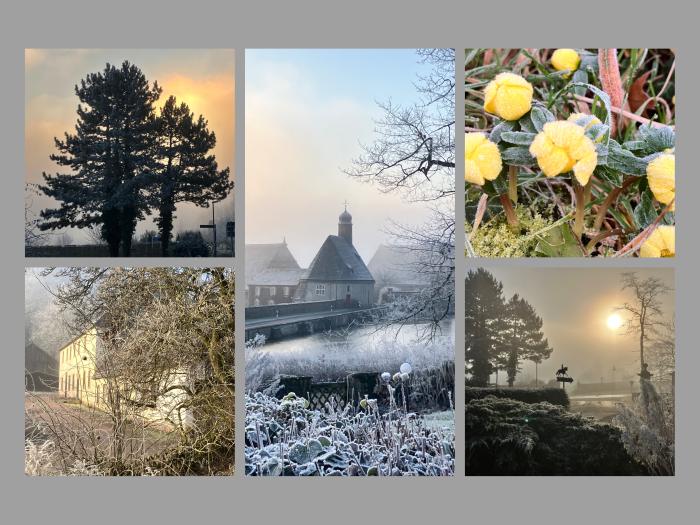 Impressionen - Februar 2025 - Trakehner Gestt Hmelschenburg  - Foto: Beate Langels