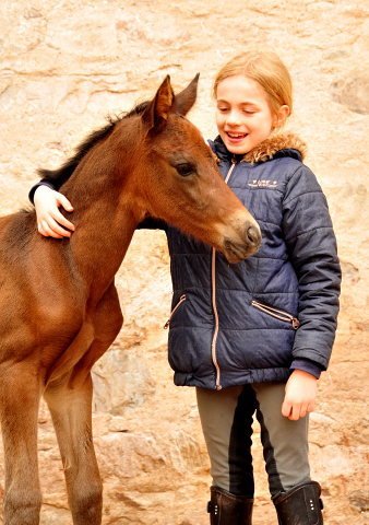 Kaisersonne und Greta - Trakehner Gestt Hmelschenburg - copyright by Beate Langels