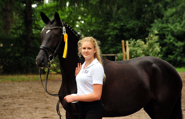 Gacyria von Saint Cyr als Prmienanwrterin des Trakehner Verbandes - Foto: Beate Langels