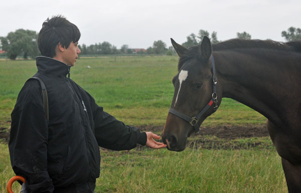 Richard Langels und Kendra v. Freudenfest u.d. Klara v. Exclusiv - Schplitz 2. Juli 2011 Foto: Beate Langels - Trakehner Gestt Hmelschenburg