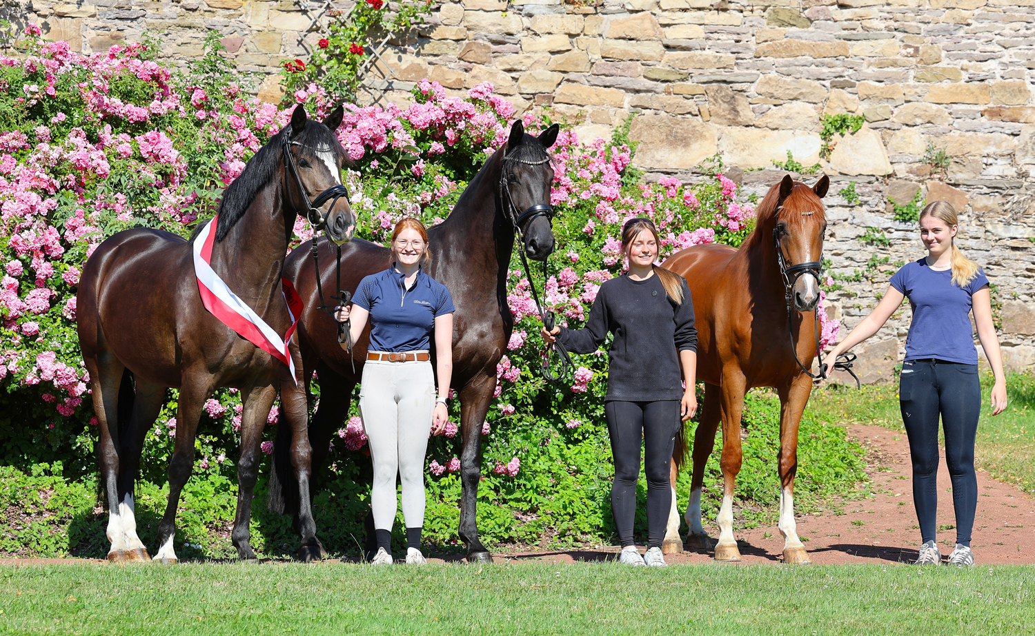 Kaiserin - Schwalbendynastie und Kavalea - Trakehner Gest�t H�melschenburg - Foto Beate Langels
