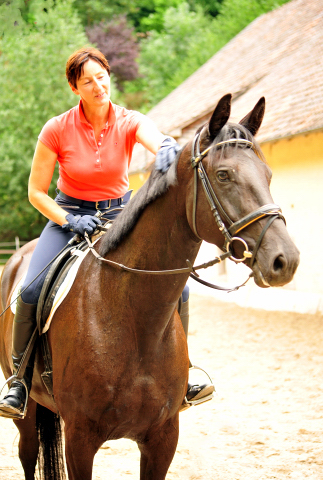 Trakehner Stute von Saint Cyr - Summertime - Rockefeller , Foto: Beate Langels - Trakehner Gestt Hmelschenburg