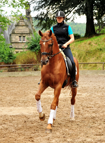 Pia und Zauberdeyk v. Van Deyk - im August 2020 im Trakehner Gestt Hmelschenburg - Foto: Beate Langels