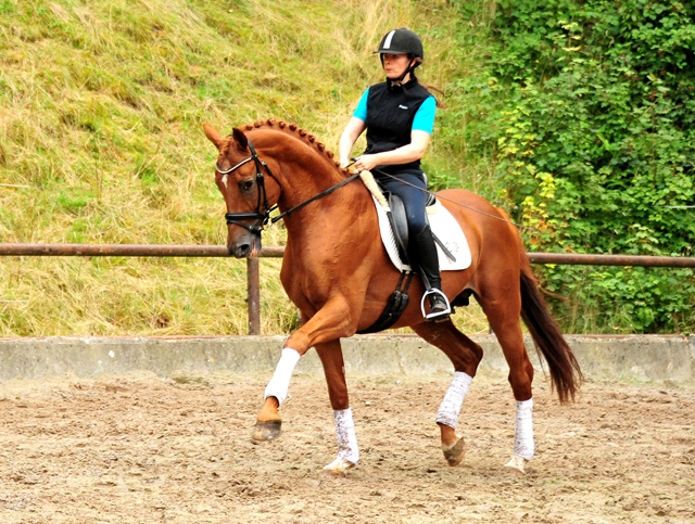 Pia und Zauberdeyk v. Van Deyk - im August 2020 im Trakehner Gestt Hmelschenburg - Foto: Beate Langels