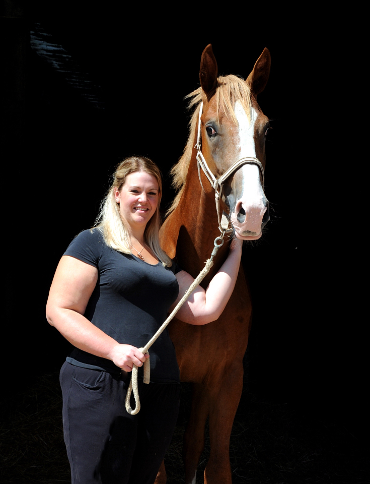 Grand Deyk - Trakehner  Hengst v. Zauberdeyk x Saint Cyr - Trakehner Gestt Hmelschenburg - Foto: Beate Langels