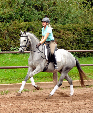 Perano von Hofrat - Herzzauber (3jhrig) - Foto Beate Langels