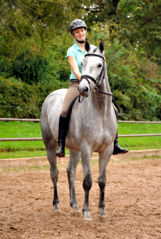 Perano von Hofrat - Herzzauber (3jhrig) - Foto Beate Langels