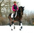 Februar Impressionen 2012 - Foto Beate Langels - Trakehner Gestt Hmelschenburg