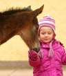 Februar Impressionen 2012 - Foto Beate Langels - Trakehner Gestt Hmelschenburg