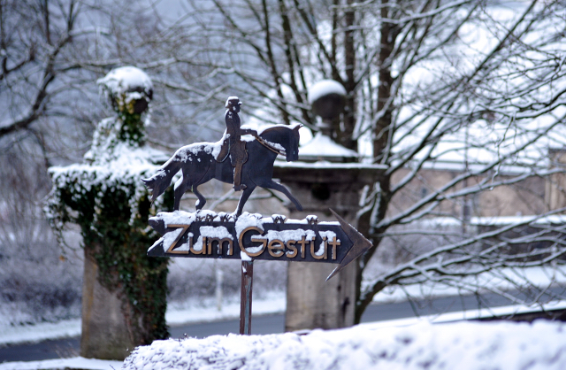 Schloss Hämelschenburg am 3. Januar 2016 -
Trakehner Gestüt Hämelschenburg