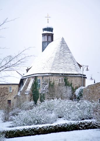 Die Schlosskirche von Hämelschenburg am 3. Januar 2016 -
Trakehner Gestüt Hämelschenburg