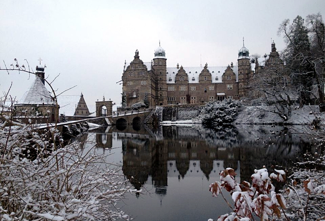 Schloss Hämelschenburg am 3. Januar 2016 -
Trakehner Gestüt Hämelschenburg