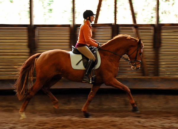 Tudor und Pia - Foto: Beate Langels