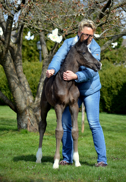 03.04.2022 - Trakehner Gestt Hmelschenburg - 
Foto: Pia Elger