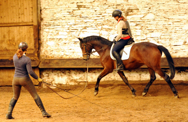 Klassic Touch v. Oliver Twist u.d. Klassic v. Freudenfest - Gestt Hmelschenburg am 3. Mai 2016