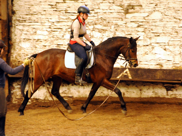 Klassic Touch v. Oliver Twist u.d. Klassic v. Freudenfest - Gestt Hmelschenburg am 3. Mai 2016