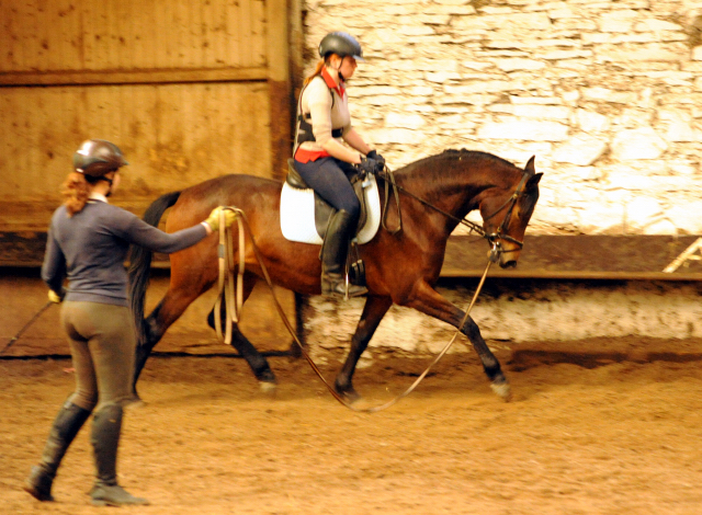 Klassic Touch v. Oliver Twist u.d. Klassic v. Freudenfest - Gestt Hmelschenburg am 2. Mai 2016